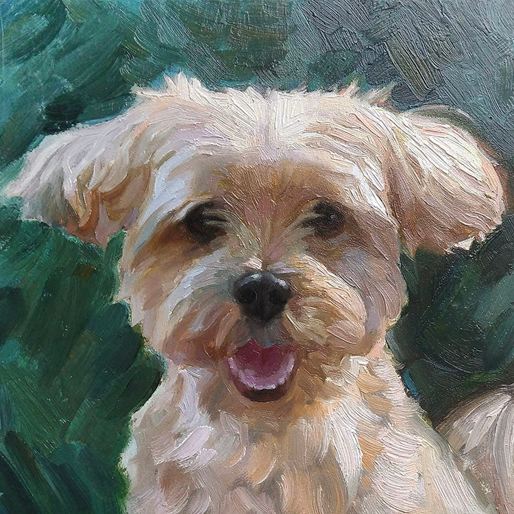 Custom oil pet portrait painting